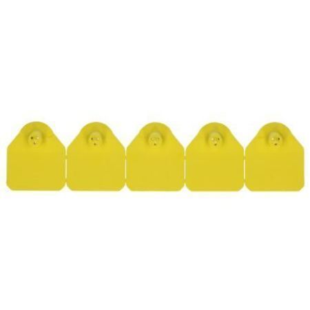Ear Tag 3